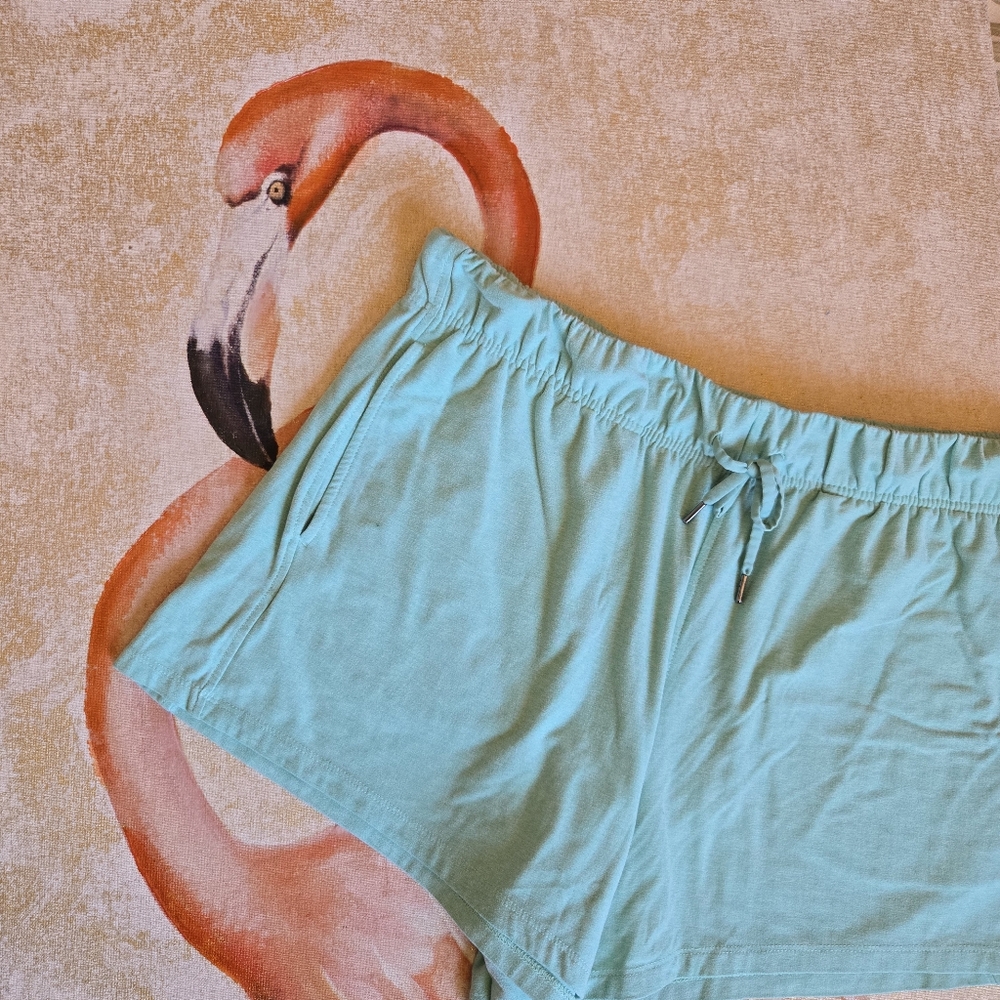 3/$25 Athletic Works Shorts Drawstring Stretchy Soft Pockets Seafoam Green XL